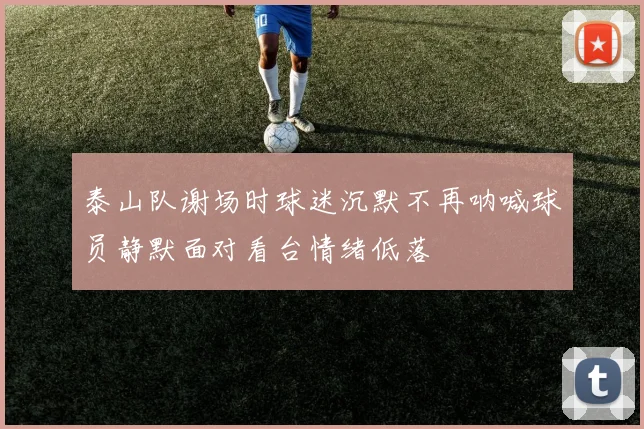 泰山队谢场时球迷沉默不再呐喊球员静默面对看台情绪低落