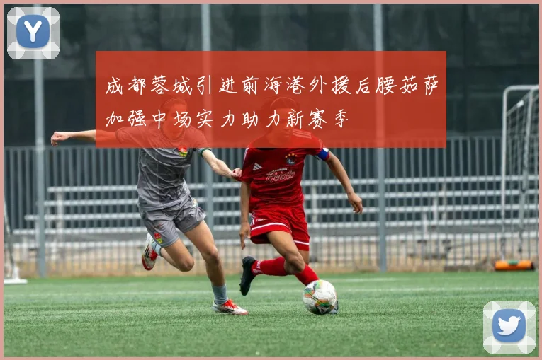 成都蓉城引进前海港外援后腰茹萨加强中场实力助力新赛季